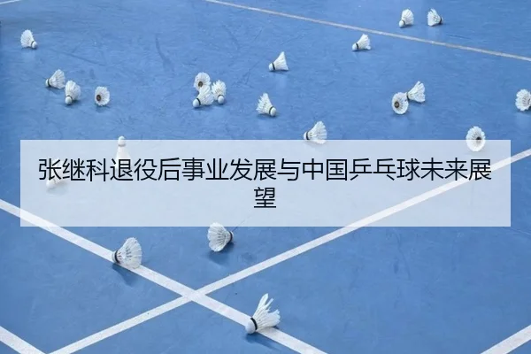 张继科退役后事业发展与中国乒乓球未来展望